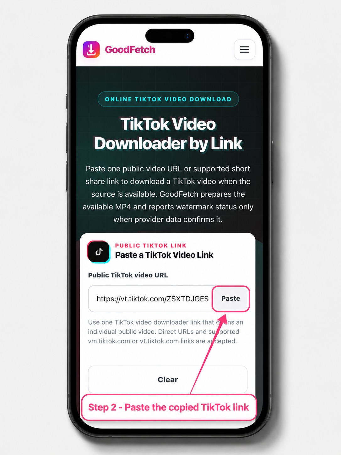 GoodFetch TikTok Video Downloader on iPhone with a public video link ready for analysis